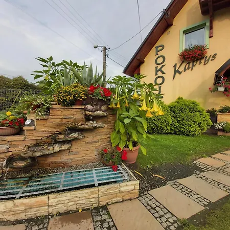 Apartment Kaprys Brenna